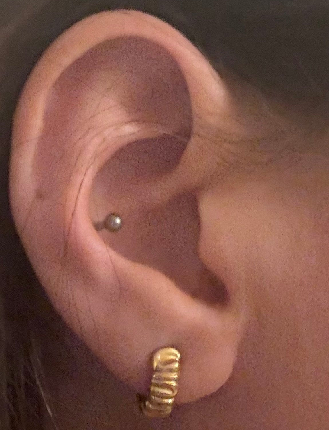 Hug my Ear with 18K goldpalting